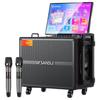 Универсальная караоке-система SANSUI Q125 (Китайская версия)