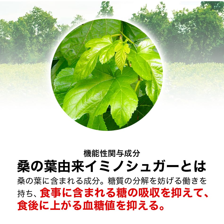 Phiten Зеленый йогурт с содержанием сахара в крови из листьев шелковицы 180 г 60 г Сделано из порошка олигосахарида молочной кислоты [Функциональный продукт] Сок, экономия, ароматизатор, (Прибл.