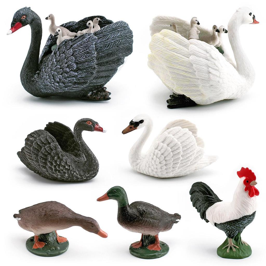 Cross-Border Poultry Model: Children's Cognition Mallard, Swan, Rooster Figurine Set