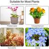 10PCS Reusable Climbing Plant Support Stakes Plastics Leaf Protection Frame  For Indoor Outdoor