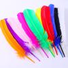 50Pcs Turkey Nest Feather Feather Feather Brush Bow And Arrow Crafts Decoration Diy Handmade Materials