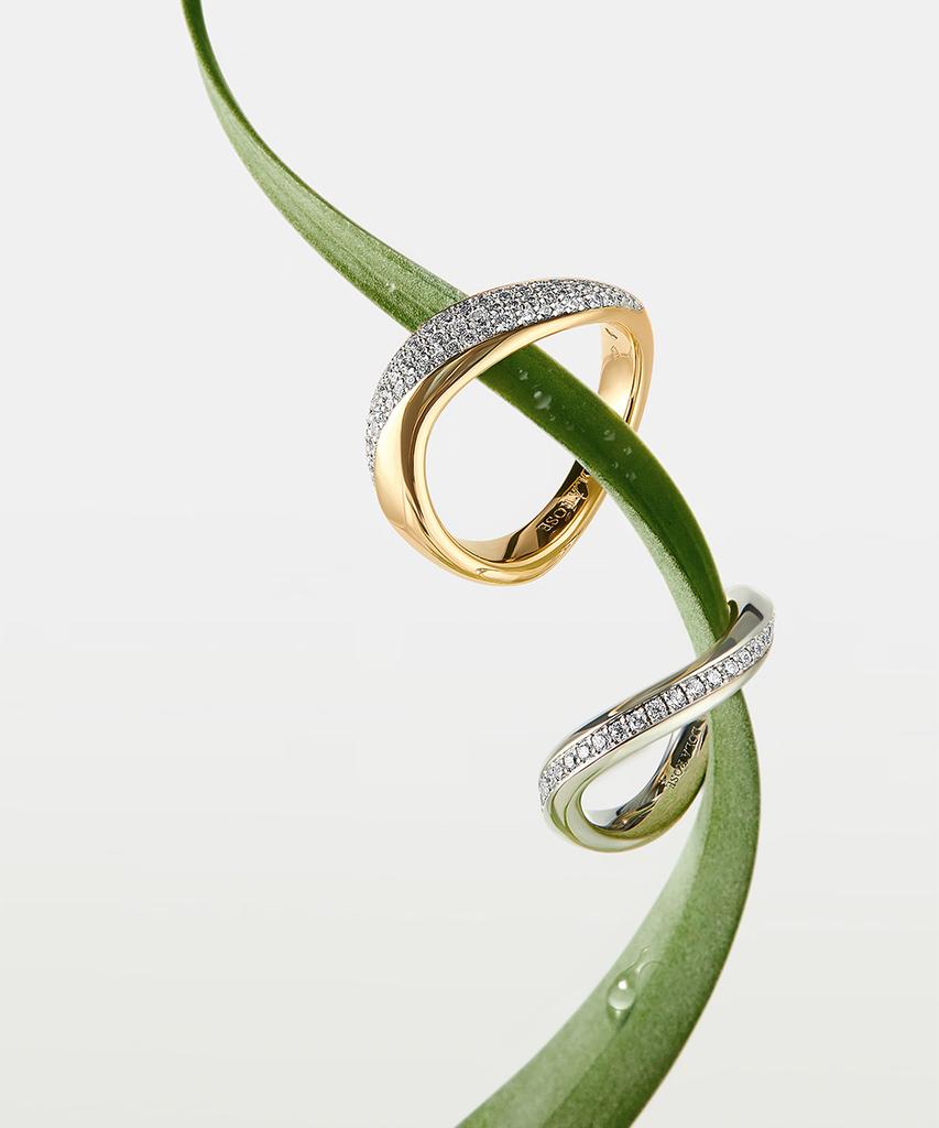Lola Rose Vyne Zirconia Silver Women'S Ring