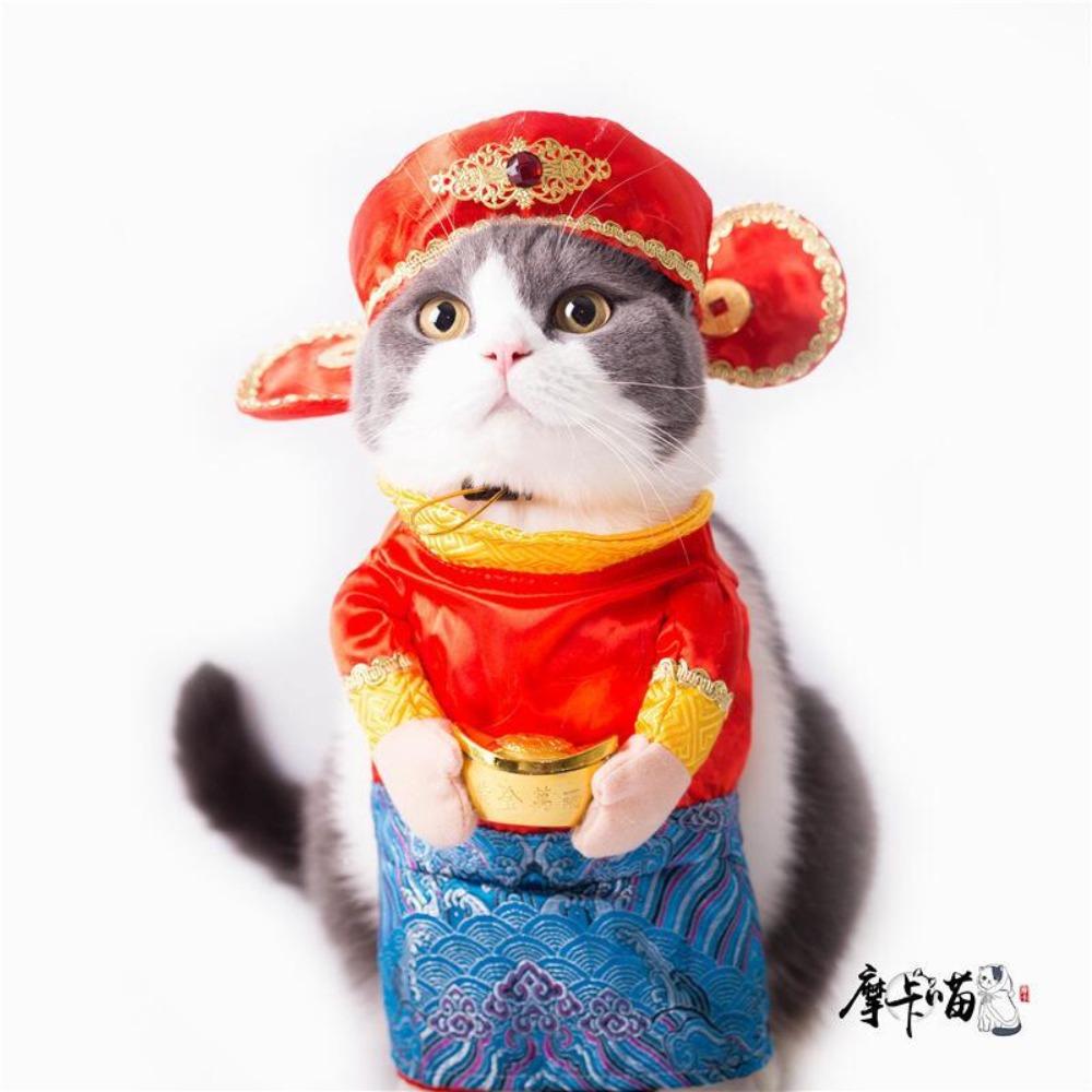 Pet Transformation Dog Funny Funny Standing Pirate Denim Pet Clothing Dog Dog Clothing