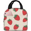 Lunch Bag Oxford Cloth Waterproof Thick Insulated Lunch Bag for Beach Picnic School Small Portable Thermal Bento Tote