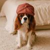 Classic Pet Beret Cute Cat Dog Felt Beret Classic French Pet Photography Dress Up Hat Cat Accessories Puppy Hat Puppy Headwear