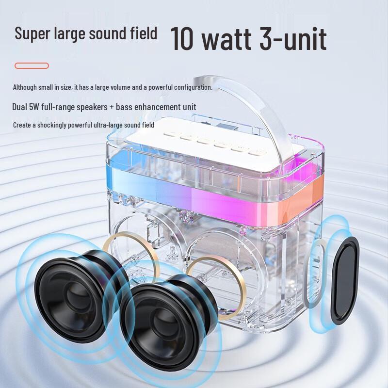 Newmine DP99 Wireless KTV Microphone Speaker System