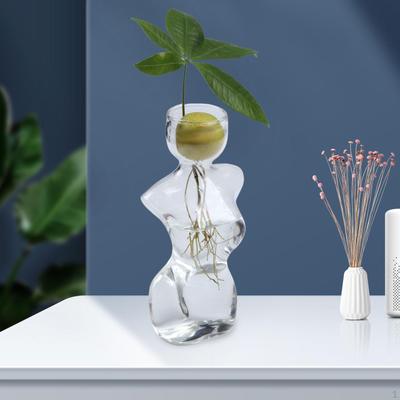 Маленькая ваза для семян авокадо, центральный элемент для комнатных и уличных цветов, домашний декор, стеклянный цветочный горшок, прозрачный