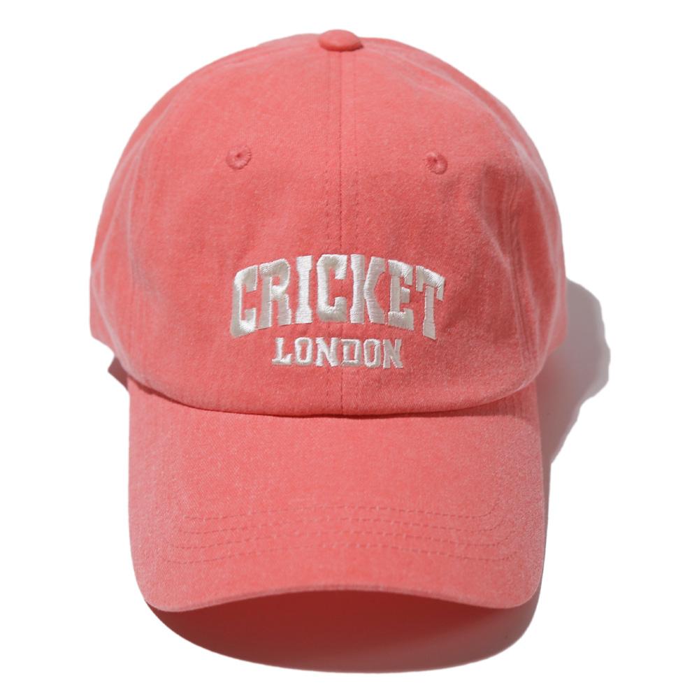 Кепка-бейсболка ALVINCLO с пигментным принтом 'Cricket' Am5621 (5 цветов)