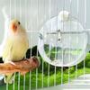 Transparent Birds Water Bottle 350ml Parrot Waterer New Small Pet Water Bottle  for Bird Cage