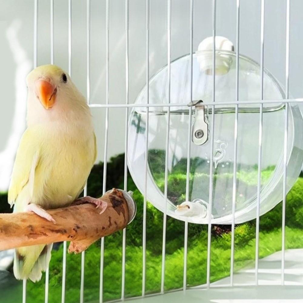 Transparent Birds Water Bottle 350ml Parrot Waterer New Small Pet Water Bottle for Bird Cage