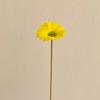 Texture Pu Gerbera Chrysanthemum Simulation Flower Fake Flower Arrangement Dry Flower Bouquet Living Room Decoration Floral