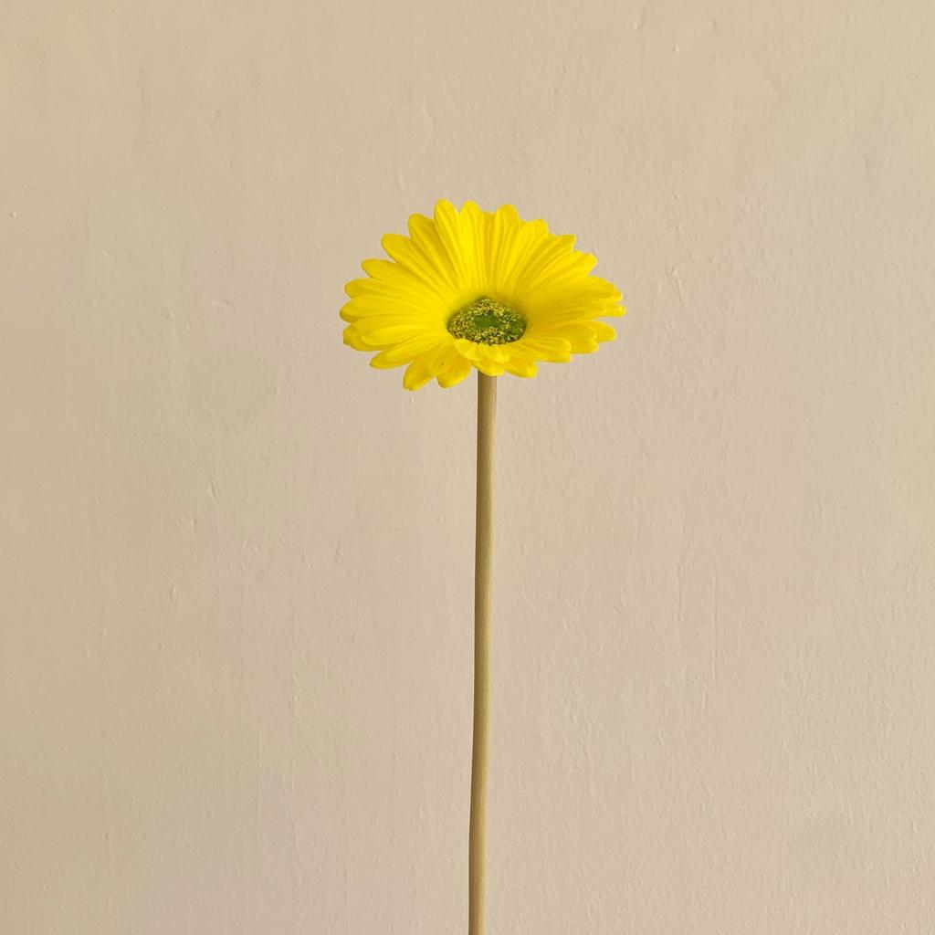 Texture Pu Gerbera Chrysanthemum Simulation Flower Fake Flower Arrangement Dry Flower Bouquet Living Room Decoration Floral
