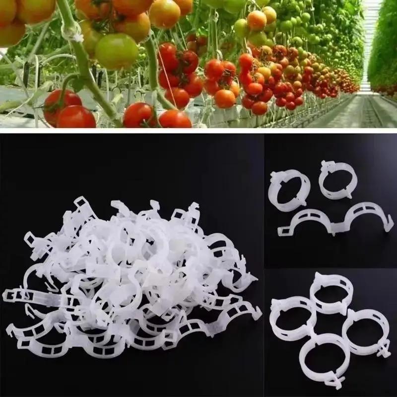 50/100 Pieces Of Plant Clips Support Reusable Plastic Connection Fixing Vines Protection Grafting Fixing Tools Home Supplies