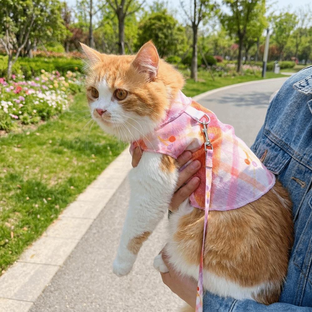 Cooling Pet T-Shirt Thin Breathable Sun Protection Clothes Dog Sunscreen Clothes Outdoor Activity