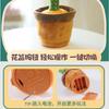 High Quality Funny Doll 120 Songs Kids Chidlren Dancing Cactus Dance Toy Swing Twisted Electric Singing and Dancing Illuminated Record Gifts