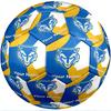 Warrington Wolves FC Fashion Size 5 Football Wearproof Non‑Slip Soccer Ball For Sports Training Entertainment Use