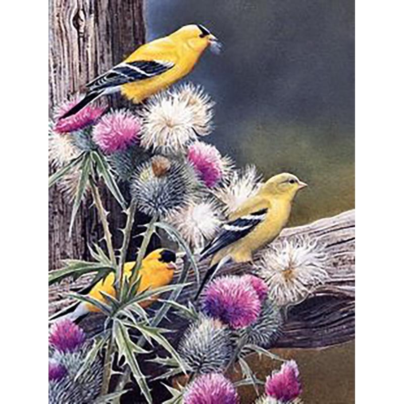 5D DIY Алмазная картина Птица Пейзаж Полный Круглый Алмазная вышивка Набор для вышивки крестом Мозаика Украшение со стразами Подарок