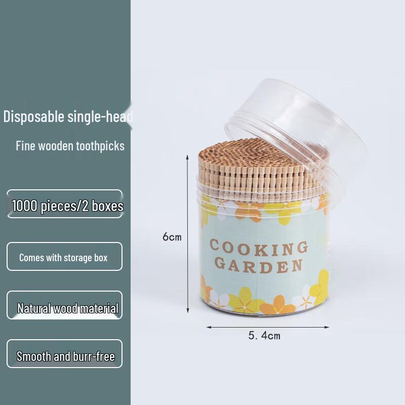 Homeglen Disposable Wooden Toothpicks