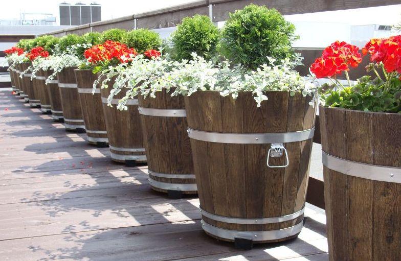 Oak flowerpot 35XH21 low K. OAK