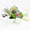 Epipremnum Aureum Simulated And Dasheen Leaves Potted Artificial Ornaments Plant