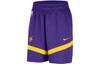 Nike Баскетбольные шорты мужские темно-фиолетовые DZ3722-504