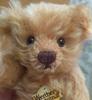 [USED] Steiff Teddy Bear, Prize Winner, Not for Sale, Werther's Original