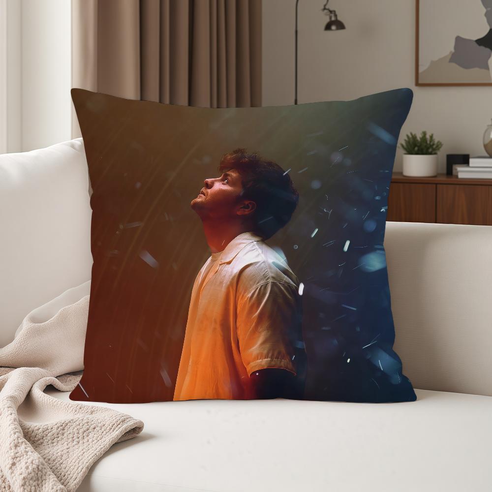American Singer Aalex Wwarren Pillow Case Suitable For Bedrooms Living Rooms Cars Home Decoration