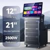SAST WD-50 Portable KTV Speaker with 21-inch Display CN plug (adapter included) (CN version)