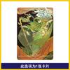 KA YOU Identity V Card Personality Profile 2 Secret Clues Limited Edition CR AR USR SSR Game Characters Collection Card Gifts