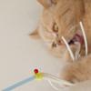 Durable Kitten Stick Toy Chew-resistant Cat Teaser Toy Fun Cat Teaser Wand  Cat Enrichment
