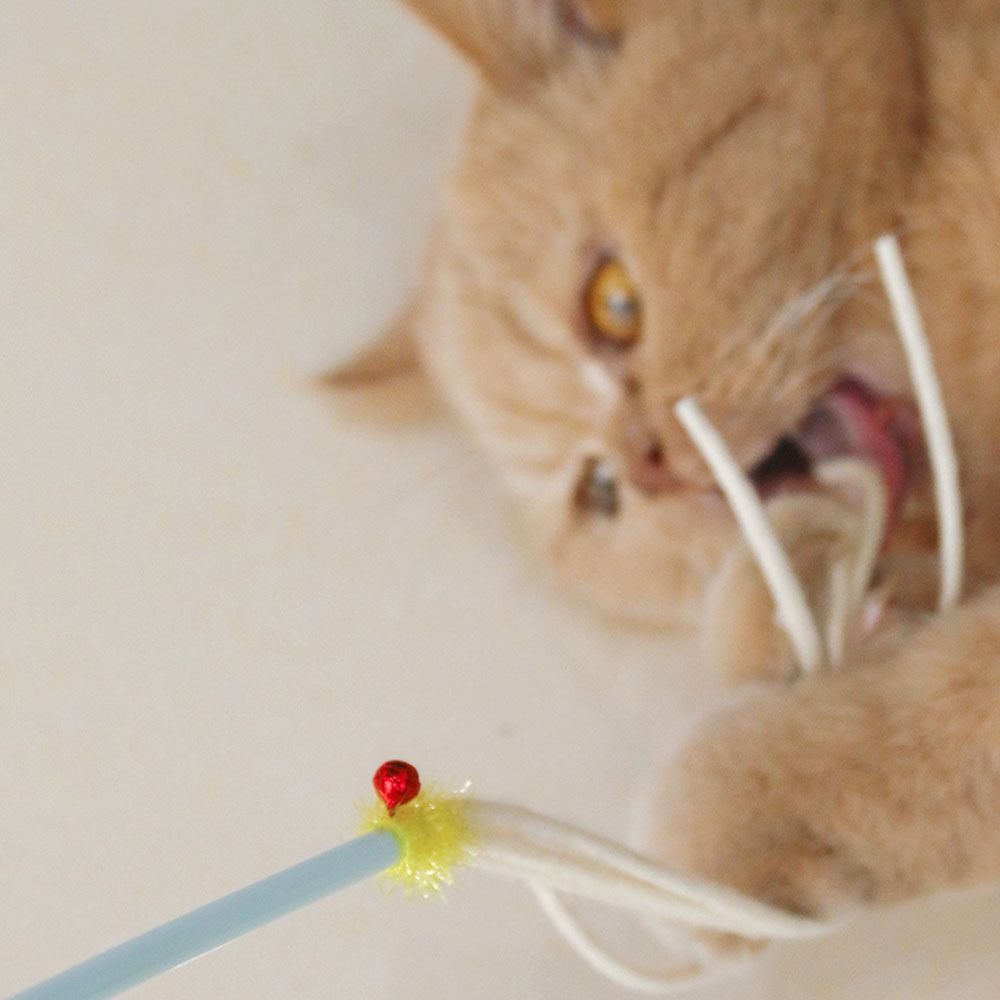 Durable Kitten Stick Toy Chew-resistant Cat Teaser Toy Fun Cat Teaser Wand Cat Enrichment