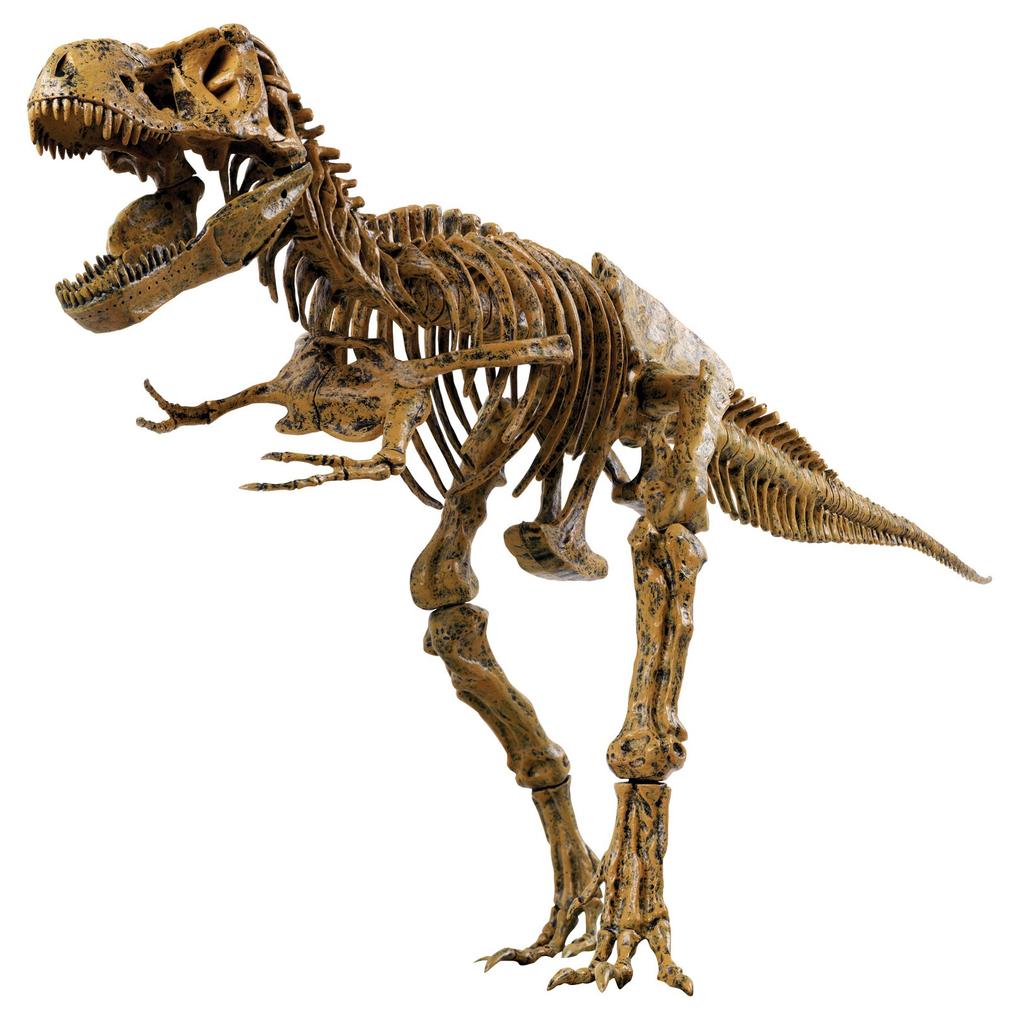 EDU-TOYS 51-Piece Dinosaur Craft Kit, Tyrannosaurus Rex VT026