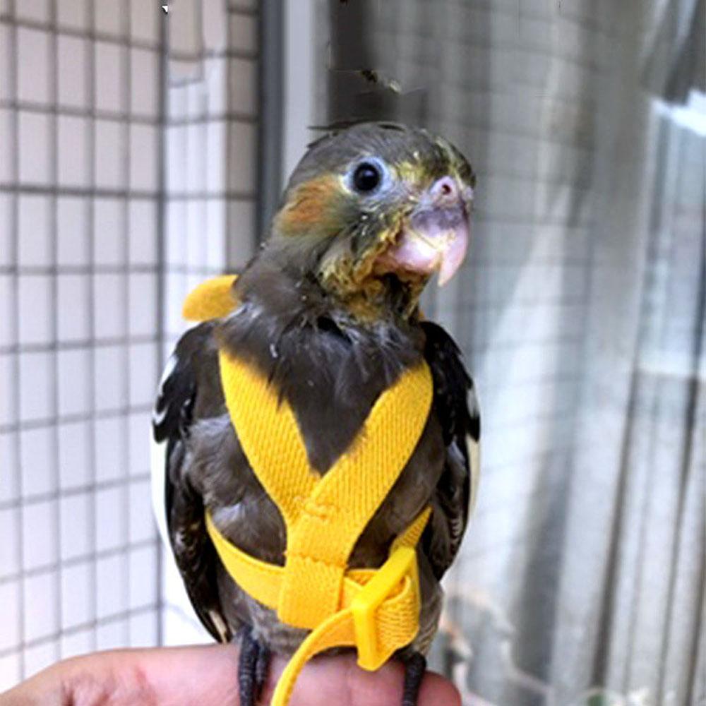 Принадлежности для птиц Тяговый трос для попугая пиона, волнистого попугайчика, для тренировок на улице, шлейка-поводок для домашней птицы