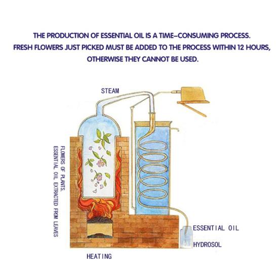 10 мл эфирного масла уда, увлажняющая массажная эссенция для сна для комнаты йоги