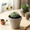 Aesthetic Pot Decoration Planter Insert Cat Decorative Stake Printed Eyes 3D Flower Garden Enthusiast Gift Cute Eyes for Indoor Outdoor Potted