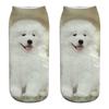 Мода 3D печать носки с собаками Аляскинский хаски Тедди Бишон Собака Собака Лабрадор ретривер Золотистый ретривер Самоедская собака Овчарка Пудель
