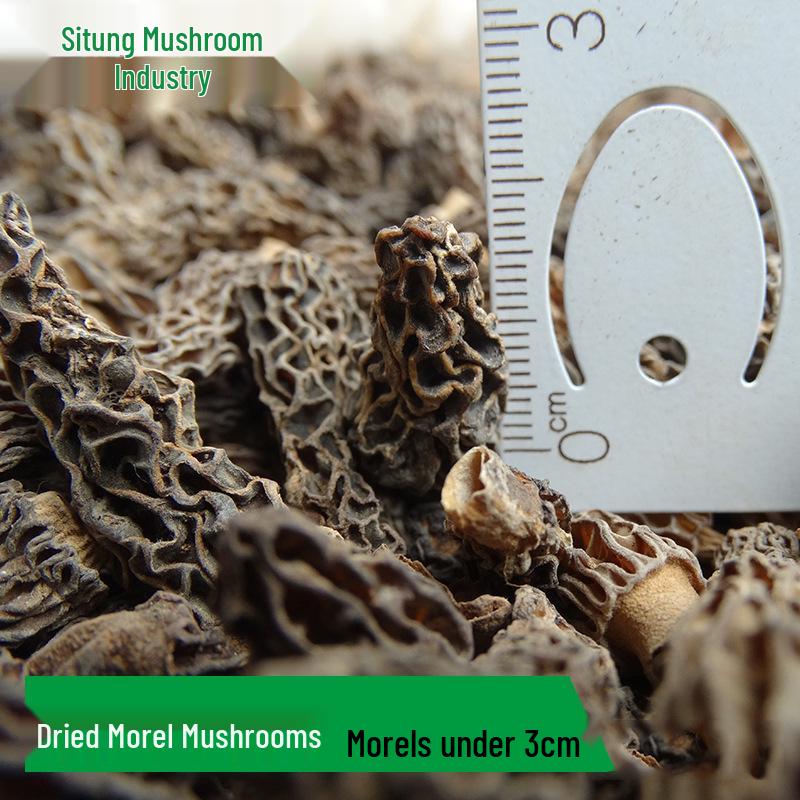 Yunnan First Flush Wild Dried Morel Mushrooms - Perfect for Soups