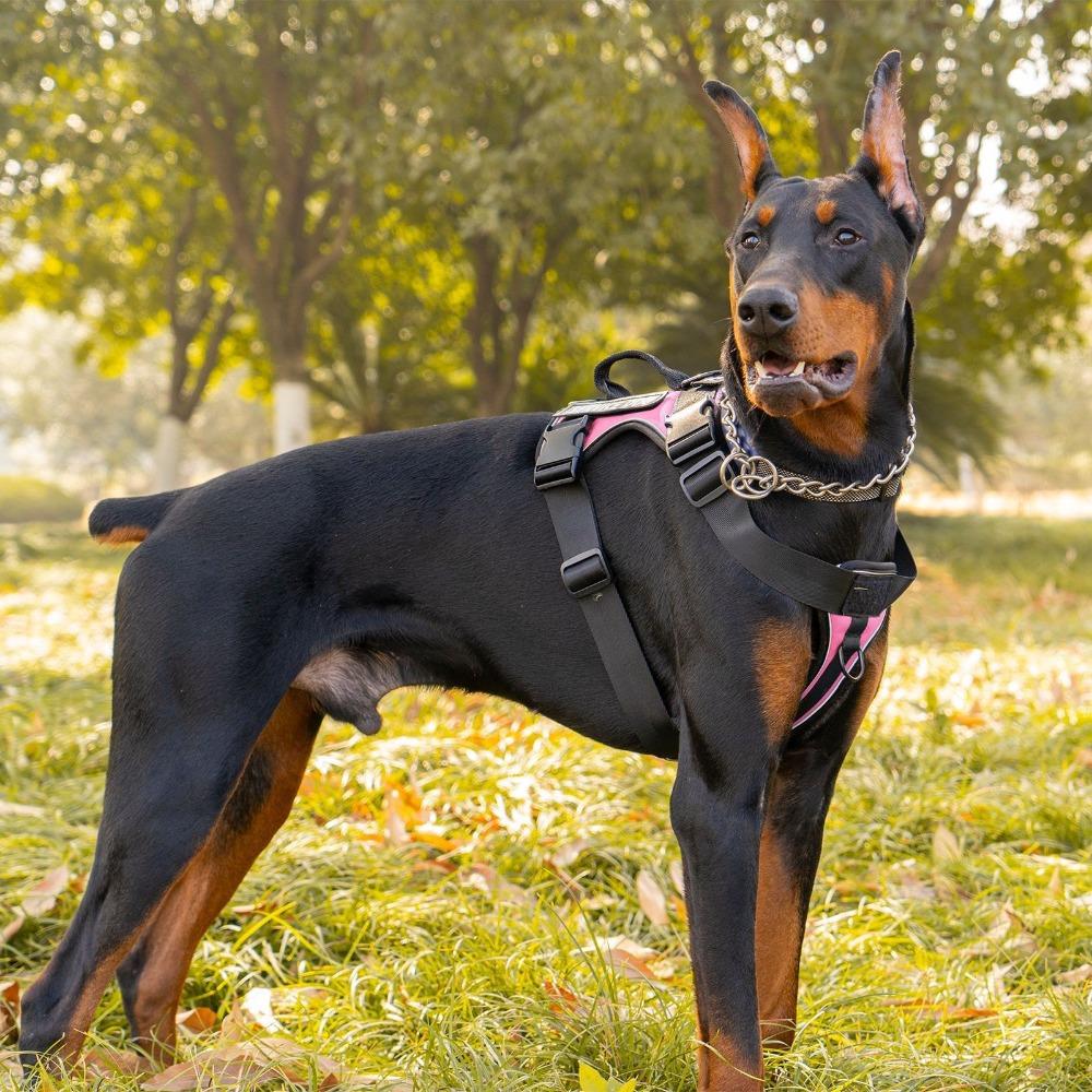 New Large Dog Tactical Chest Strap Vest Thickened Anti-explosion and Reflective Adjustable Without Neck Restraint