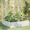 VidaXL White Raised Garden Bed 100x100x25 Cm Steel 851032