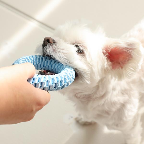 Зубная нить с уплотнительным кольцом Puppy Toy M, конфеты (Небо), 1 кусок