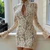 Сексуальное кружевное мини-платье с принтом, женское, с V-образным вырезом, модное, облегающее, с длинным рукавом, прозрачное, женское вечернее платье 2025