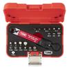 Torque Bit Ratchet Set TBS20, Bit Insertion, 10N?m, 21 Pieces