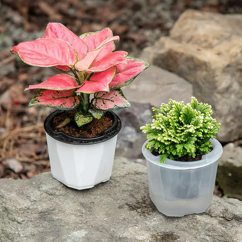 Self-Watering Plastic Flower Pot