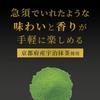 Ito En Oi Ocha Premium Tea Bags Uji Matcha Green 1.8g 20