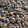 5 Pcs Painting Pebbles Natural River Rocks Smooth Unpolished Flat Pebbles for Kids Adults Painting Art DIY Crafting Garden Decor