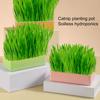 Горшок для кошачьей травы со съемным дном, двухслойный, контрастного цвета, нескользящая основа, легко чистящийся, пластиковый, для выращивания ростков домашней кошки