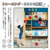 EagleStone Basketball Goal Indoor Children Toy Door Hanging Electronic Scoring Sound Effect with 2 Basketballs Training Shockproof Home Use Stress