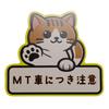 Magnetic Sticker for Cars, Beginners, MT Cars, Recording, Caution, Magnet MT Cars, Cat Pattern