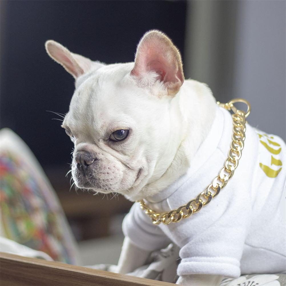 Цепочка для собак, ошейник из металла и золота, аксессуары для домашних животных на четыре сезона
