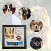 Dog Cats Memorial Frame Best Friend Come Into Out Lives 9x9Inch Photo Picture Frame with Collar Holder Sympathy Gift